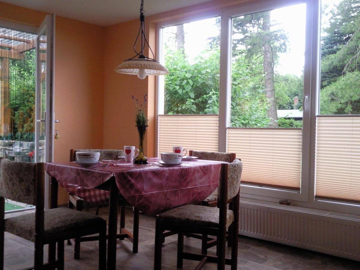 טאלה Ferienhaus Harzer Bauernhof מראה חיצוני תמונה